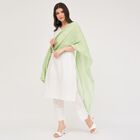 Ladies' Regular Dupatta, Light Green, small image number null