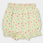Girls' 100% Cotton Bloomer , Yellow, small
