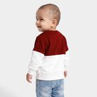 Infants' Maroon Cotton Round Neck Pullover Sweatshirt, मरून, small
