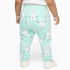 Boys' Mint Green Bunny Printed Cotton Blend Pyjama, Light Green, small image number null