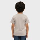 Boys Light Grey Cotton Round Neck Graphic Printed T-Shirt, Light Grey, small