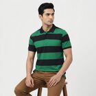 Men Green Polo Neck Striped T-Shirt, Dark Green, small