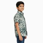 Boys Light Sage Green Cotton Half Sleeve Button Down Casual Shirt, Light Green, small image number null