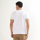 Men's 100% Cotton Round Neck Half Sleeves T-Shirt, White, small image number null