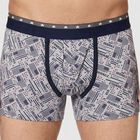 Men's Grey Regular Fit Printed Trunks, Light Grey, small