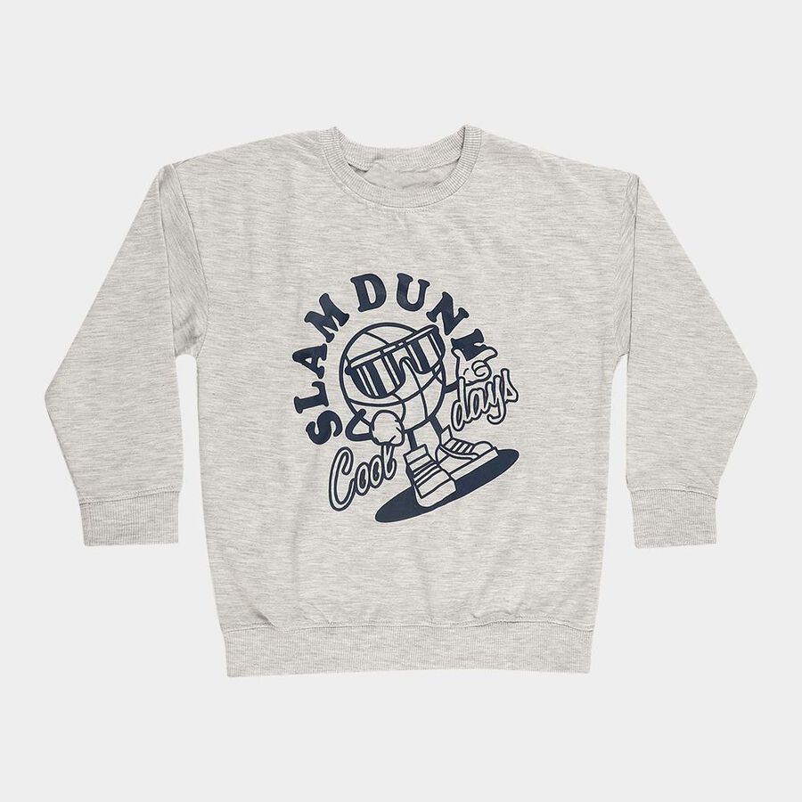 Boys Light Grey Crew Neck Graphic Sweatshirt, Ecru Melange, large