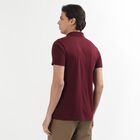 Men's Deep Wine Polo Neck Casual T-Shirt, Wine, small