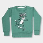 Boys Light Sage Green Crew Neck Casual Pullover, हल्का हरा, small image number null
