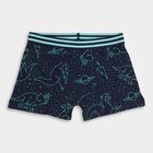 Boy's Cotton Briefs, नेवी ब्लू, small image number null