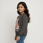 Girls Dark Charcoal Grey Crew Neck Casual Sweatshirt, चारकोल, small image number null