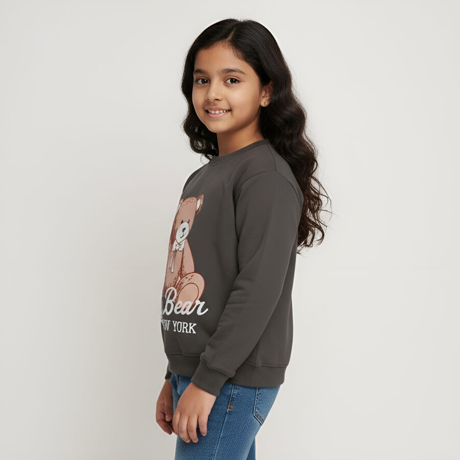 Girls Dark Charcoal Grey Crew Neck Casual Sweatshirt, चारकोल, large image number null