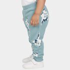 Infants' Teal Jogger Fit Dinosaur Printed Cotton Pyjama, टील ब्लू, small