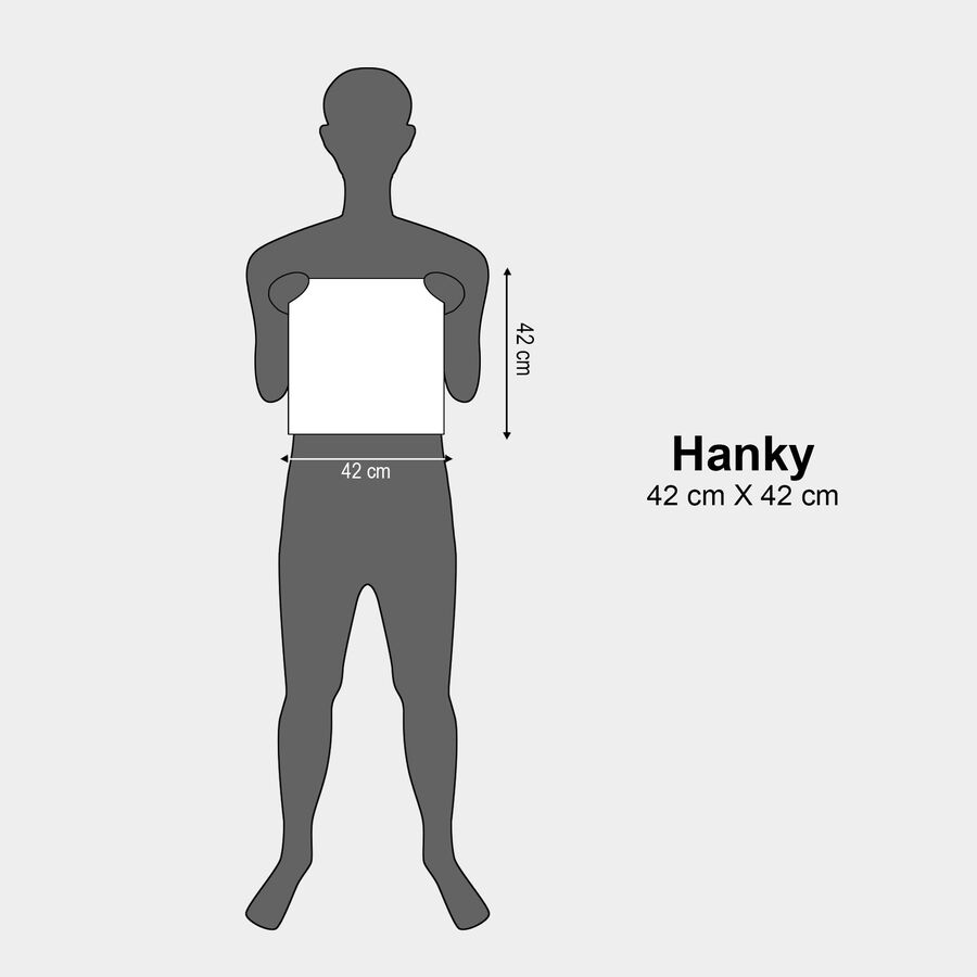 Men's Blue and White Checked and Striped Pack of 3 Handkerchief, मध्यम नीला, large