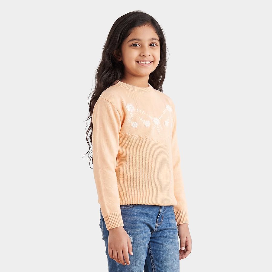 Girls' Light Pink Crew Neck Embroidered Pullover, Light Pink, large