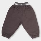 Infants Charcoal Grey Elastic Waist Embroidered Trousers, गहरा ग्रे, small image number null