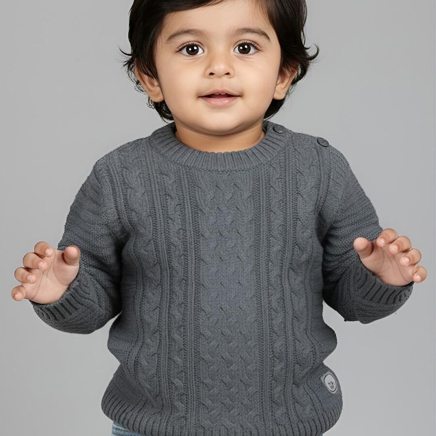 Infants Dark Grey Crew Neck Classic Pullover, Dark Grey, large image number null