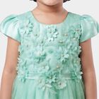 Girls' Mint Green Fit and Flare Floral Applique Party Wear Frock, Light Green, small