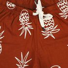 Boys Brown Regular Fit Printed Bermuda Shorts, Brown, small