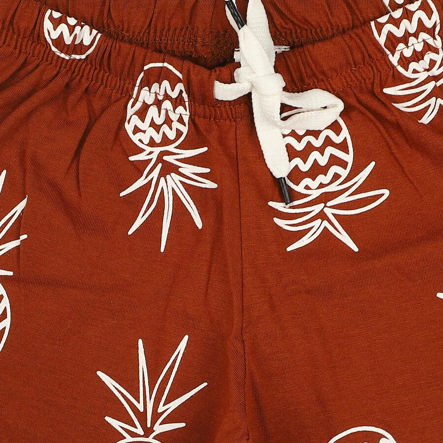 Boys Brown Regular Fit Printed Bermuda Shorts, Brown, large
