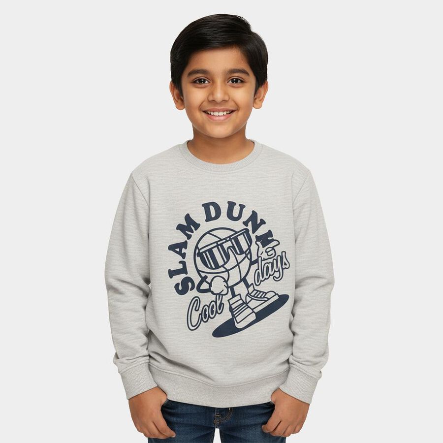 Boys Light Grey Crew Neck Graphic Sweatshirt, Ecru Melange, large