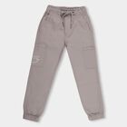 Boys Muted Taupe Regular Fit Jogger Trousers, गहरा ग्रे, small image number null
