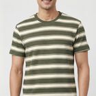 Men Olive Green Round Neck Casual T-Shirt, Olive, small