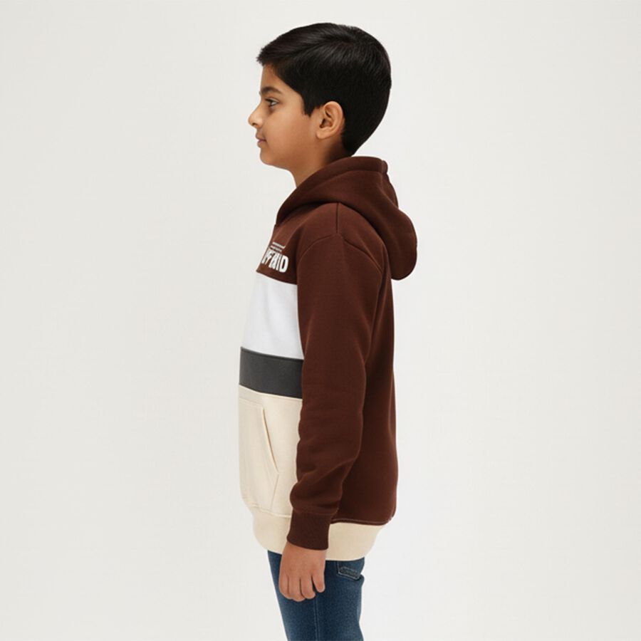 Boys' Sweatshirt, भूरा, large image number null