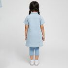 Girls' Light Sky Blue Embroidered Short Sleeve Denim Frock, Light Blue, small image number null
