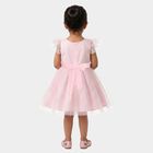 Girls Pink Fit and Flare Butterfly Applique Party Wear Frock, गुलाबी, small