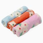 Ladies' Hanky, Assorted, small image number null