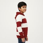 Boys' Sweatshirt, मरून, small image number null
