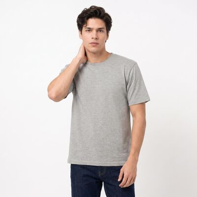Men Grey Round Neck Regular T-Shirt