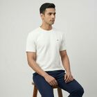 Men's White Round Neck Casual T-Shirt, White, small