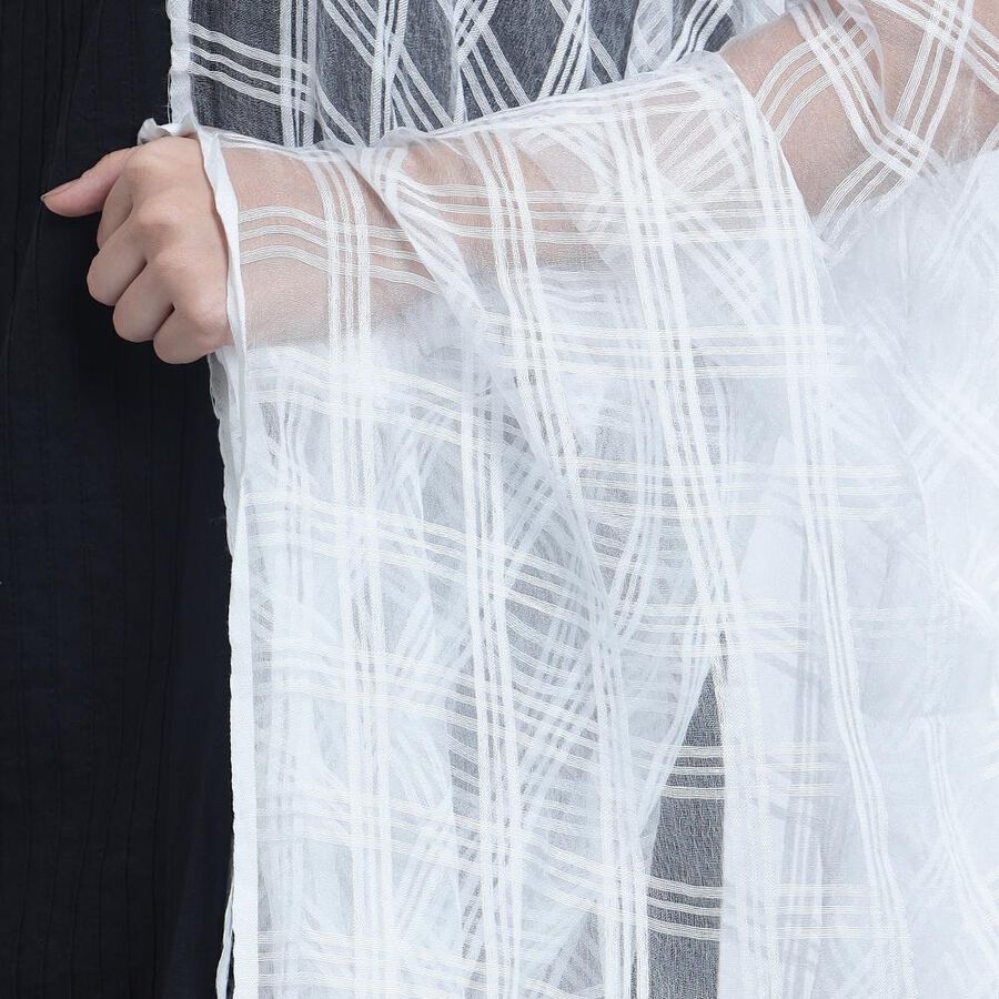Solid Dupatta, Off White, large image number null