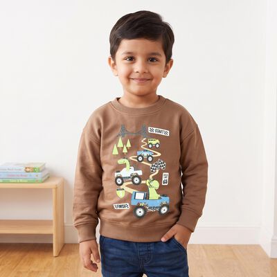 Boys Brown Crew Neck Graphic Print Sweatshirt