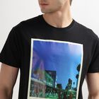 Men's 100% Cotton Round Neck Half Sleeves T-Shirt, Black, small