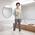 Boys' Mint Green Hoodie Neck Graphic Print Sweatshirt, हल्का हरा, small