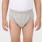 Boys Grey Regular Fit Printed Briefs, Light Grey, small