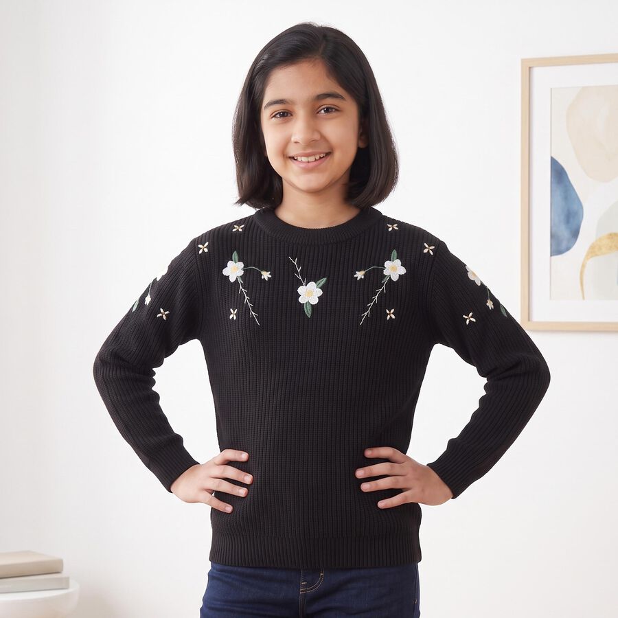 Girls Black Crew Neck Embroidered Pullover, काला, large