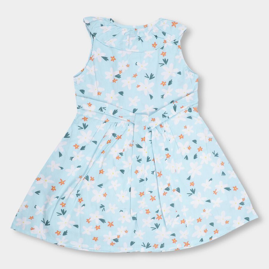 Girls' Light Sky Blue Floral Printed Sleeveless Flared Frock, Light Blue, large image number null