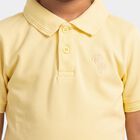 Boys Yellow Polo Neck Polo T-Shirt, पीला, small