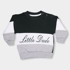 Infants Dark Green Cotton Crew Neck Casual Sweatshirt, गहरा हरा, small image number null