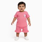 Infant Girls' Bright Pink Cotton Bunny Embroidered Top and Ruffle Shorts Set, Pink, small