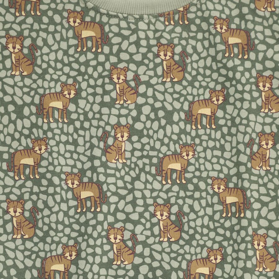 Boys' Sweatshirt, Light Green, large image number null