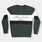 Boys Dark Forest Green Crew Neck Printed Sweatshirt, गहरा हरा, small image number null