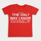 Boys' 100% Cotton Half Sleeves T-Shirt, लाल, small image number null