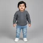 Infants Dark Grey Crew Neck Classic Pullover, Dark Grey, small image number null