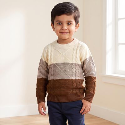 Boys Brown Crew Neck Colorblock Pullover