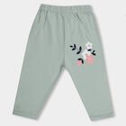 Infants' Muted Sage Green And Soft Cream Regular Fit Floral Printed Elastic Waist Pyjama, Light Green, small image number null
