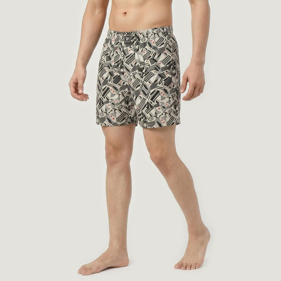 Men's Grey Relaxed Fit Printed Boxers, Light Grey, large